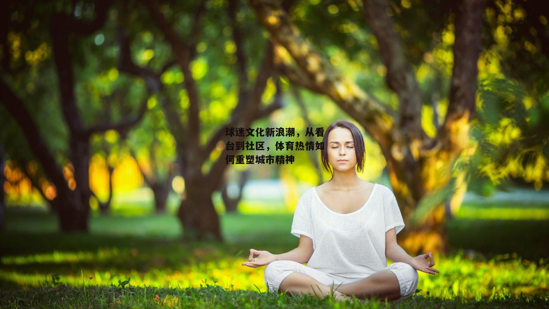 球迷文化新浪潮，从看台到社区，体育热情如何重塑城市精神